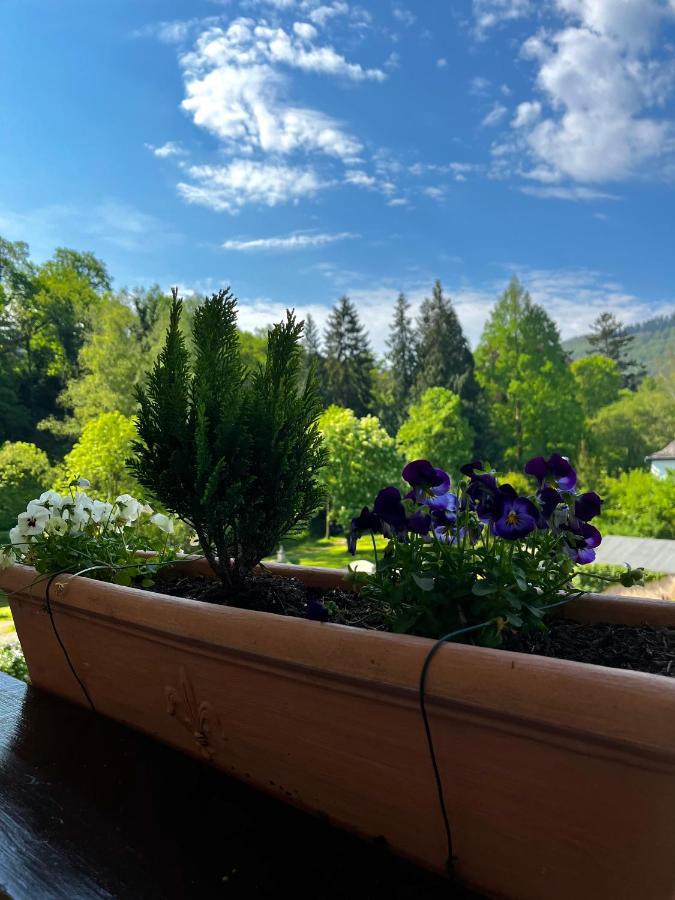 Park Villa Zentral Am Mittelrhein - Zimmer & Apartments Бопард Екстериор снимка